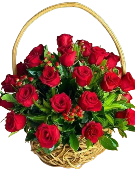 WhatsApp_Image_2025-10-09_at_08.33.32-removebg-preview