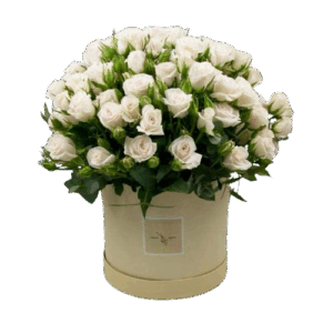 50 Rosas en Caja Redonda